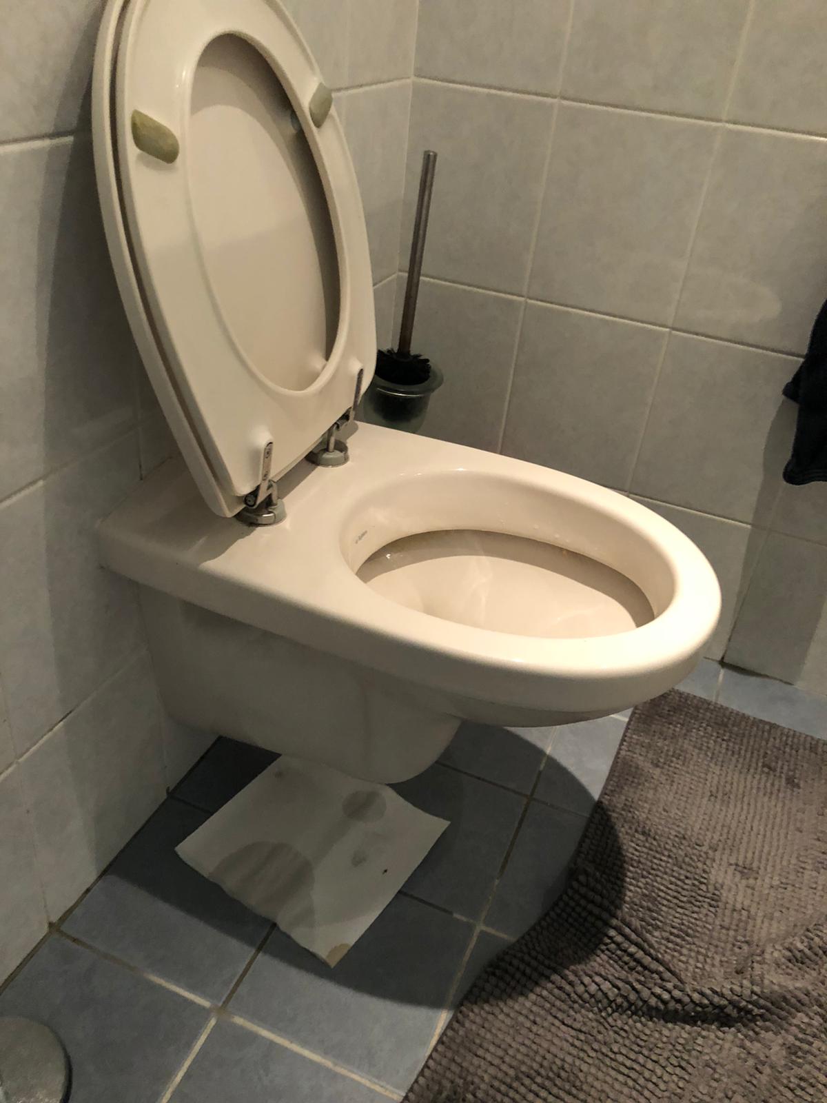 hangtoilet Sliedrecht